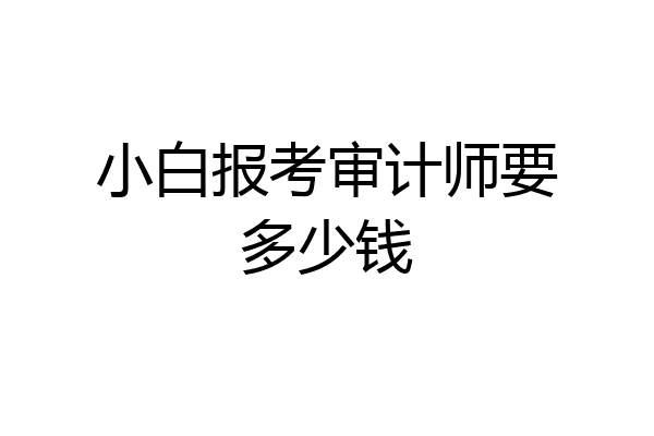 小白报考审计师要多少钱