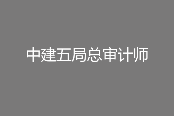 中建五局总审计师