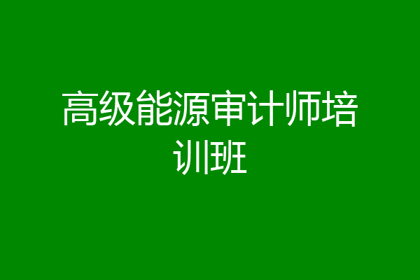 高级能源审计师培训班