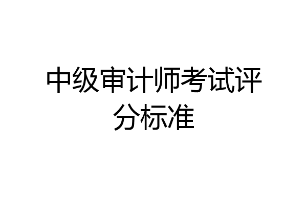 中级审计师考试评分标准