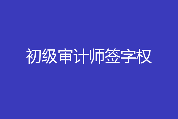 初级审计师签字权