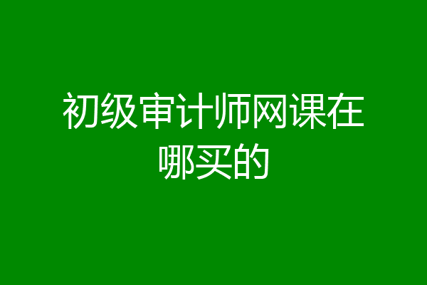 初级审计师网课在哪买的