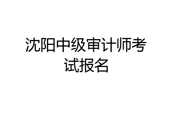 沈阳中级审计师考试报名
