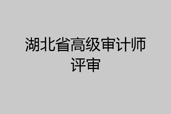 湖北省高级审计师评审