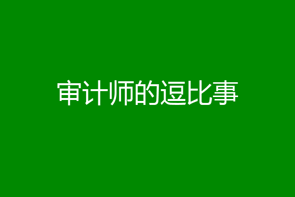 审计师的逗比事