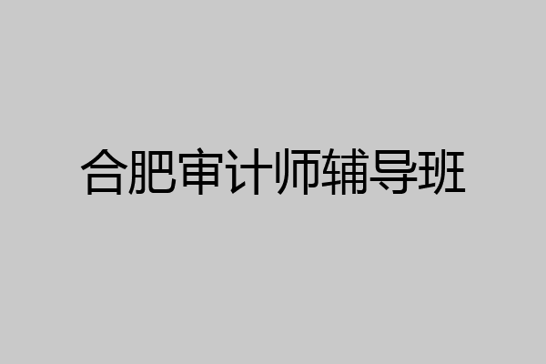 合肥审计师辅导班