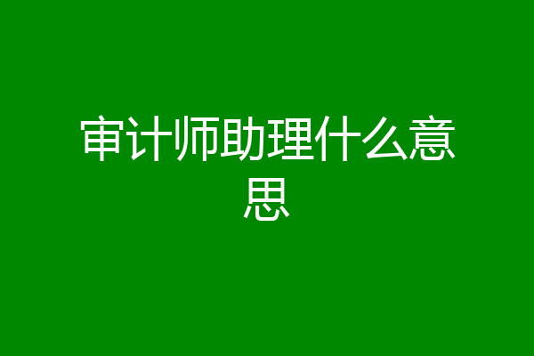 审计师助理什么意思
