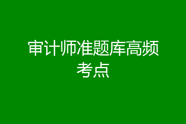 审计师准题库高频考点