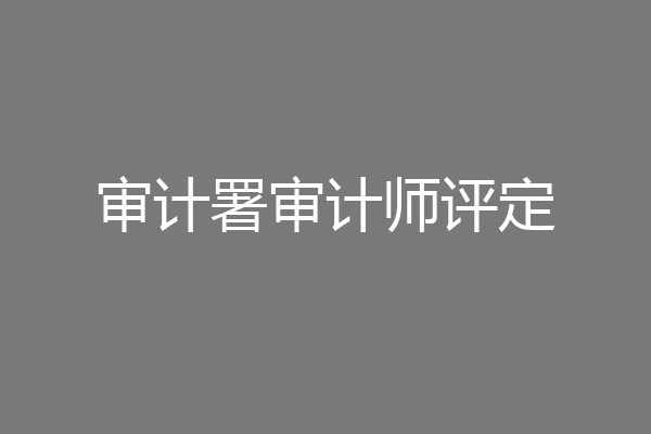 审计署审计师评定