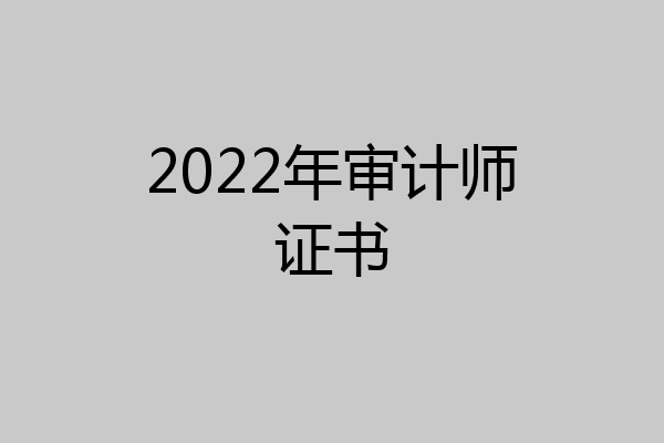 2022年审计师证书