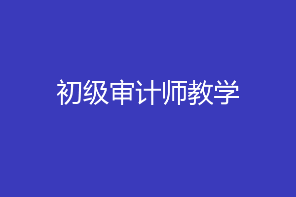 初级审计师教学