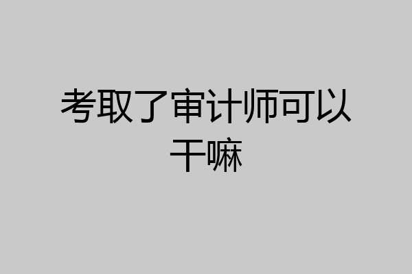 考取了审计师可以干嘛