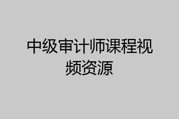 中级审计师课程视频资源