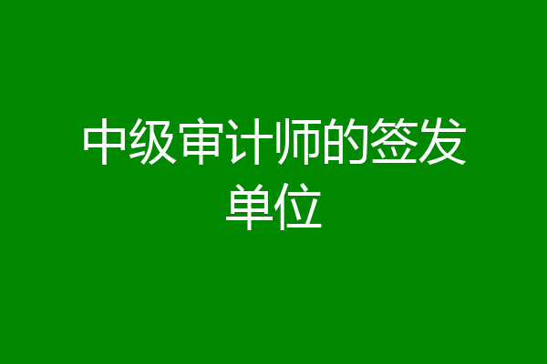 中级审计师的签发单位