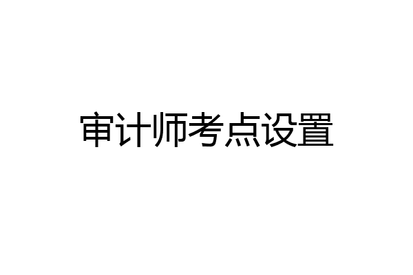 审计师考点设置