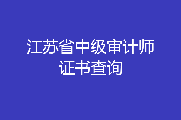 江苏省中级审计师证书查询