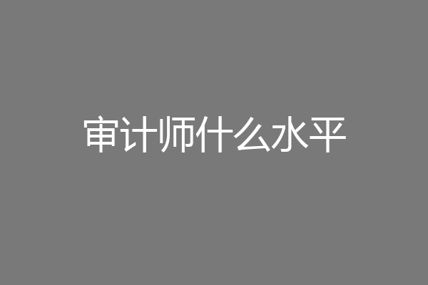 审计师什么水平