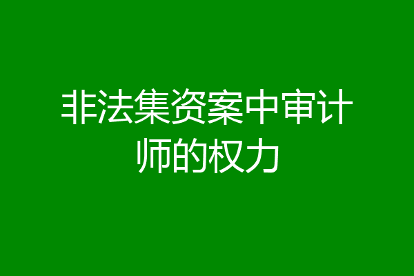 非法集资案中审计师的权力