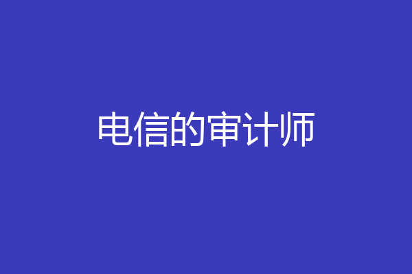 电信的审计师