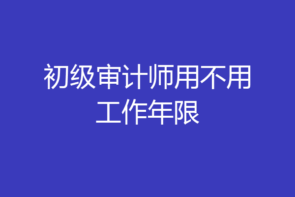 初级审计师用不用工作年限