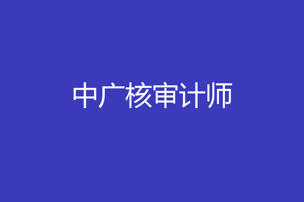 中广核审计师