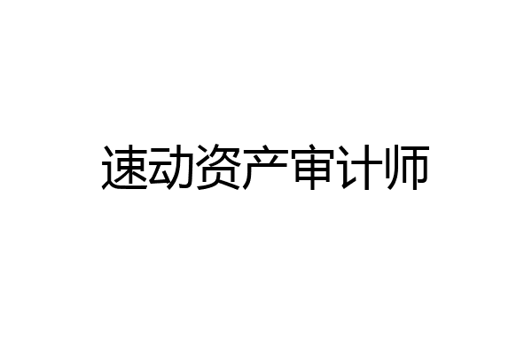 速动资产审计师