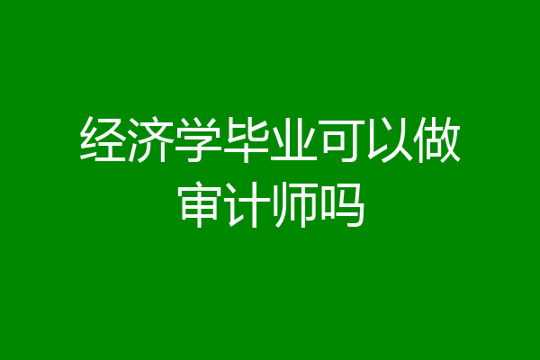 经济学毕业可以做审计师吗