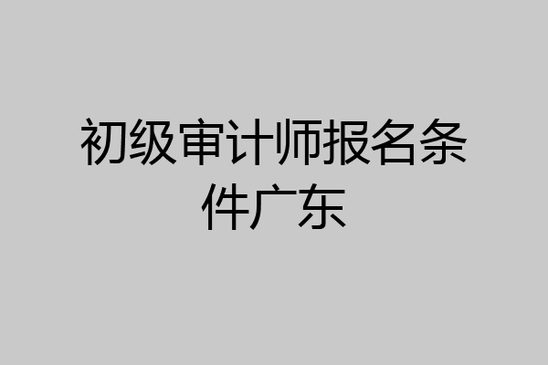 初级审计师报名条件广东