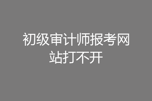 初级审计师报考网站打不开
