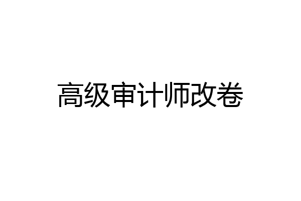 高级审计师改卷