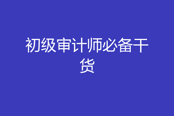 初级审计师必备干货