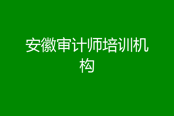 安徽审计师培训机构
