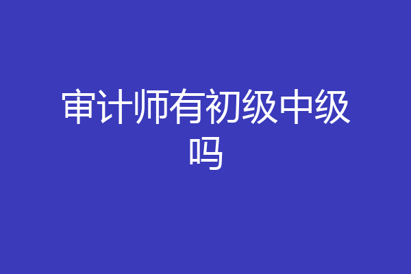 审计师有初级中级吗