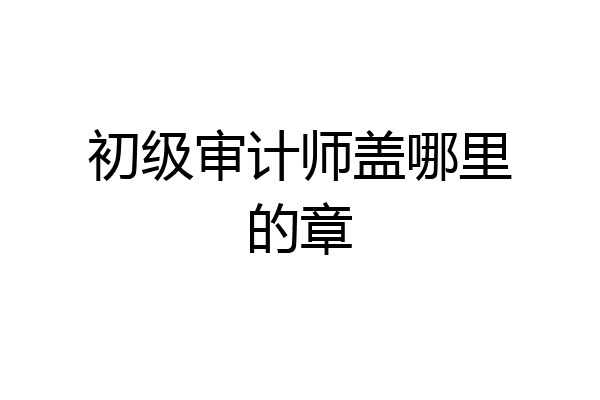 初级审计师盖哪里的章