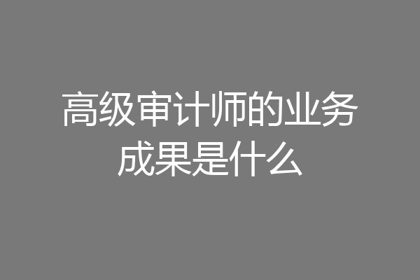 高级审计师的业务成果是什么