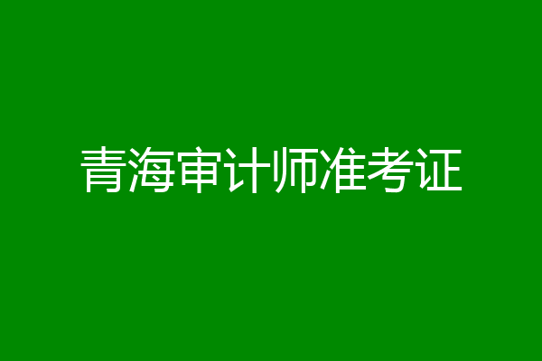 青海审计师准考证