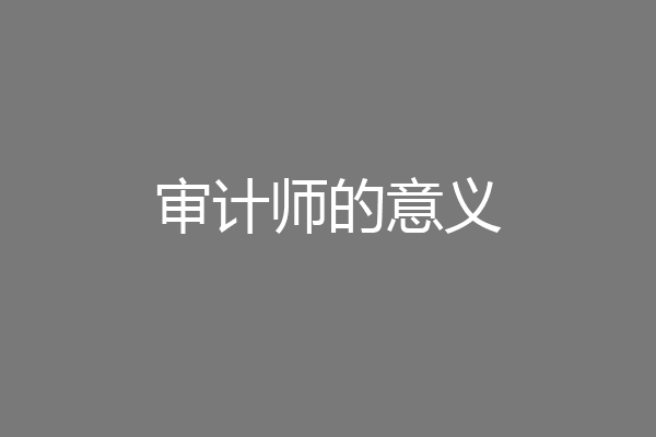 审计师的意义