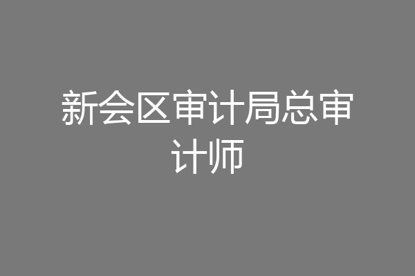 新会区审计局总审计师