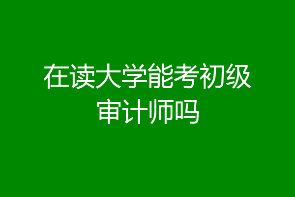 在读大学能考初级审计师吗