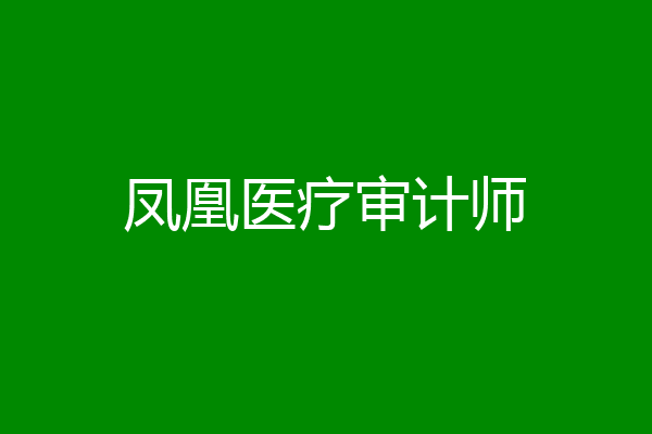 凤凰医疗审计师