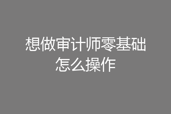 想做审计师零基础怎么操作