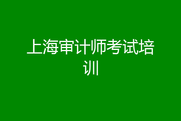 上海审计师考试培训