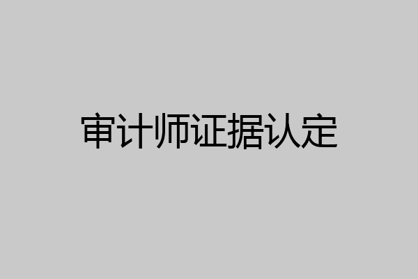 审计师证据认定