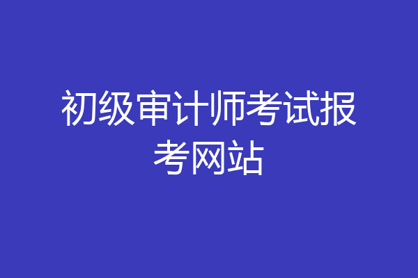 初级审计师考试报考网站