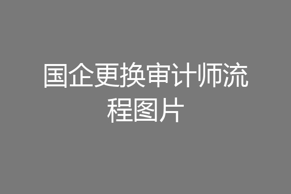 国企更换审计师流程图片