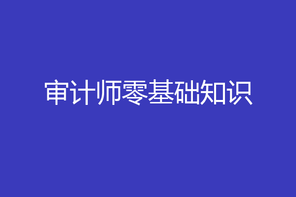 审计师零基础知识
