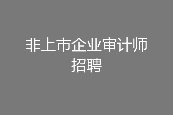 非上市企业审计师招聘