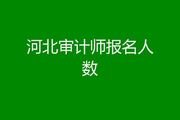 河北审计师报名人数