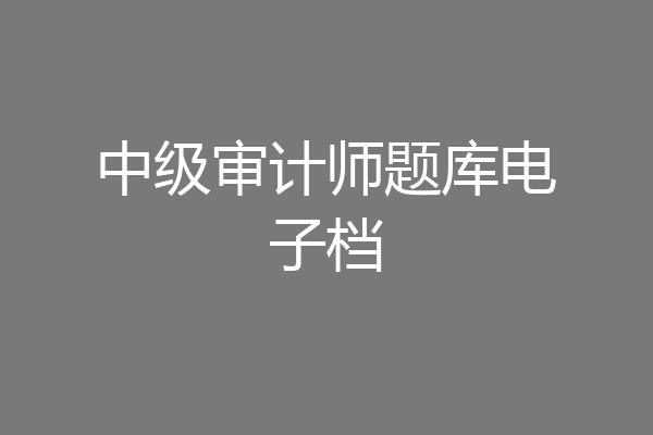 中级审计师题库电子档