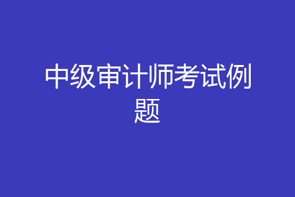 中级审计师考试例题